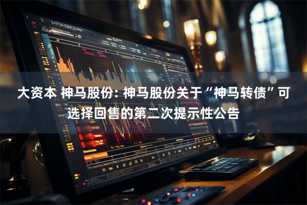 大资本 神马股份: 神马股份关于“神马转债”可选择回售的第二次提示性公告