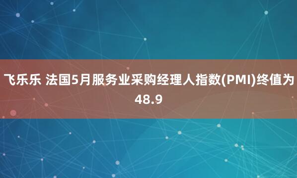 飞乐乐 法国5月服务业采购经理人指数(PMI)终值为48.9