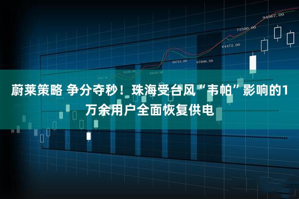 蔚莱策略 争分夺秒！珠海受台风“韦帕”影响的1万余用户全面恢复供电