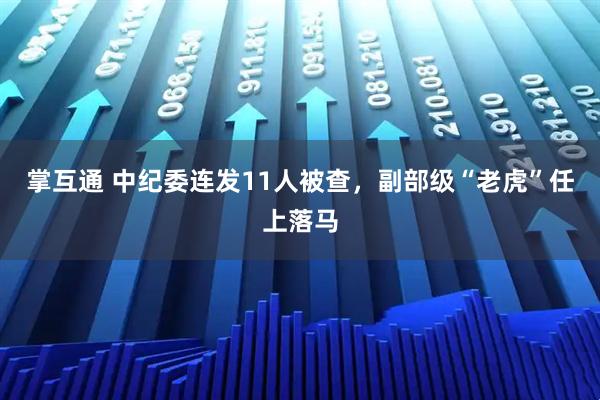 掌互通 中纪委连发11人被查，副部级“老虎”任上落马