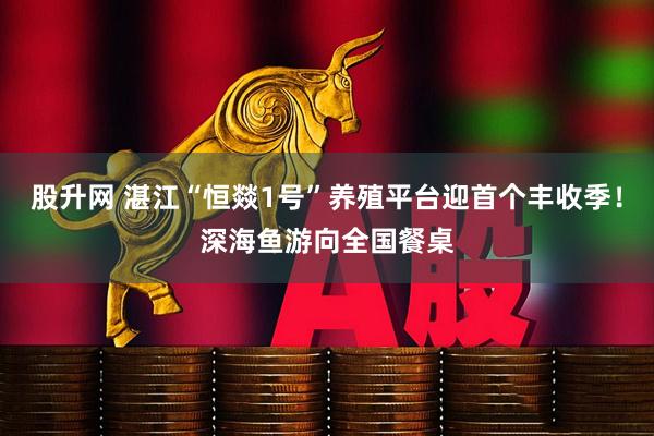 股升网 湛江“恒燚1号”养殖平台迎首个丰收季！深海鱼游向全国餐桌