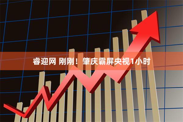 睿迎网 刚刚！肇庆霸屏央视1小时