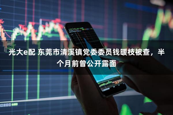 光大e配 东莞市清溪镇党委委员钱暖枝被查，半个月前曾公开露面