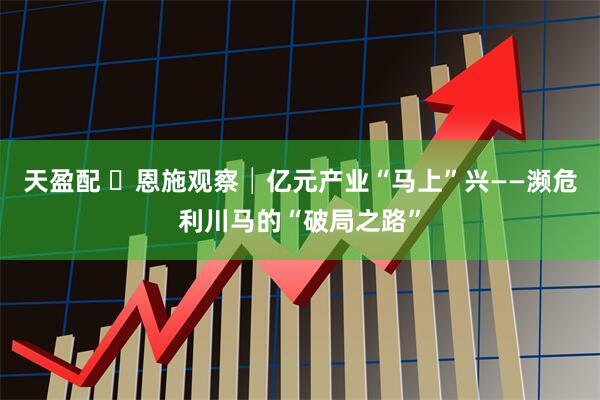 天盈配 恩施观察│亿元产业“马上”兴——濒危利川马的“破局之路”